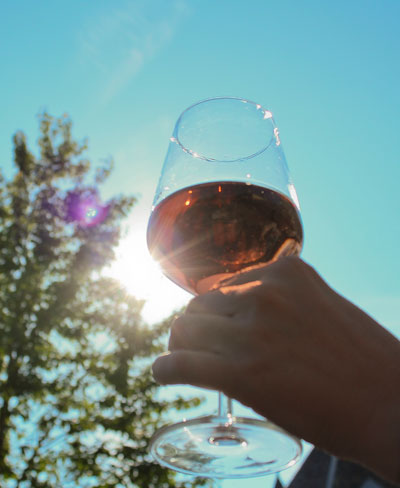 Geniet van een borrel op ons zonoververgoten terras